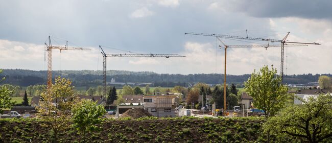 Grues de chantier 